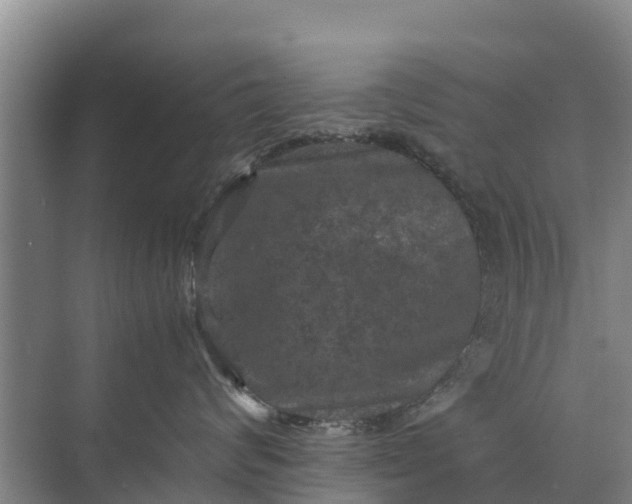 X0000071760624200607150004