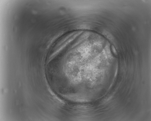 X0000071760625200607150003