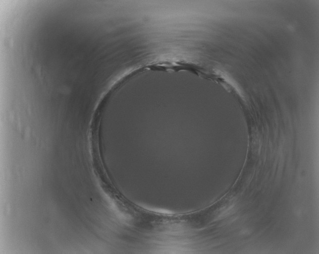 X0000071760626200607150003