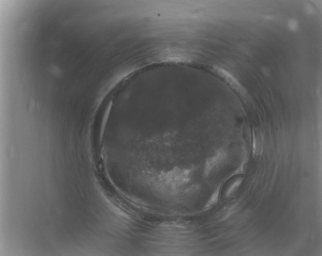 X0000071760627200607150003