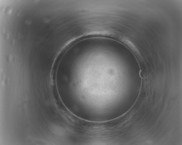 X0000071760628200607150003