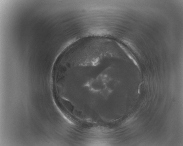 X0000071760630200607150003