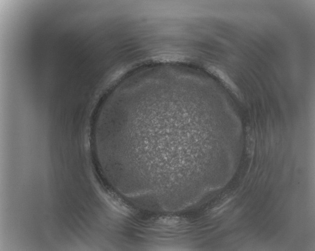 X0000071760631200607150003