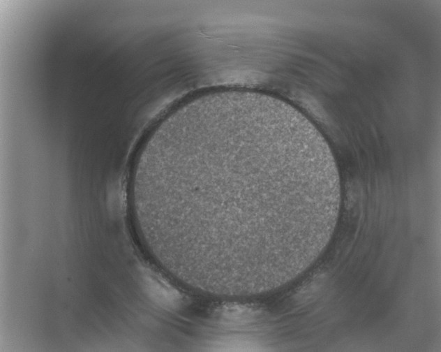 X0000071760632200607150003