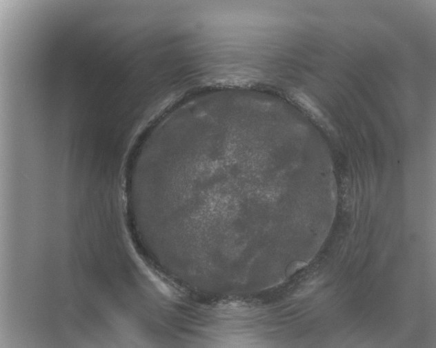 X0000071760634200607150003