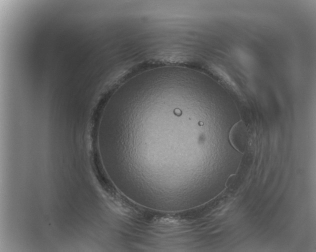 X0000071760635200607150003