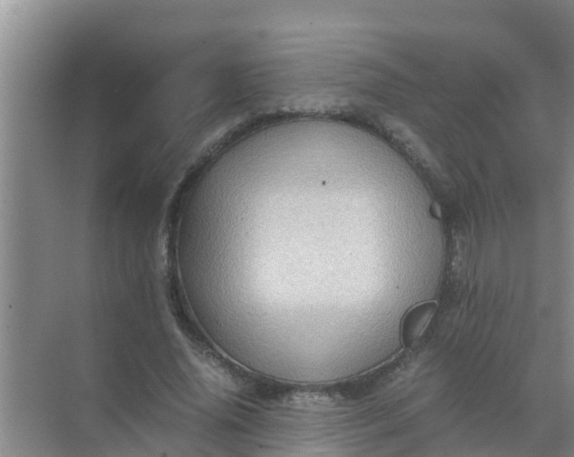 X0000071760636200607150003