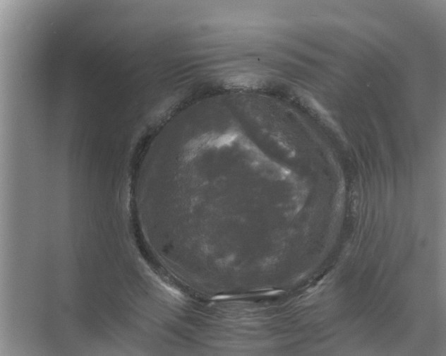 X0000071760637200607150003