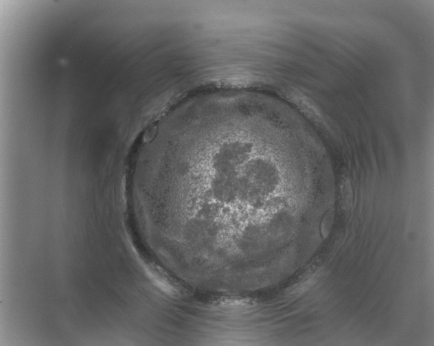 X0000071760638200607150003