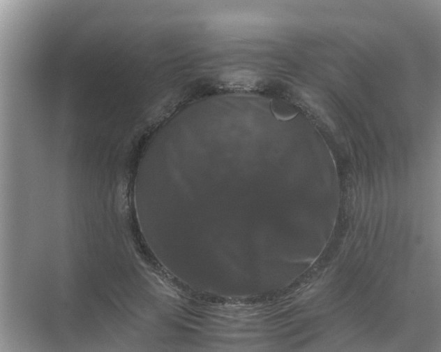 X0000071760641200607150003