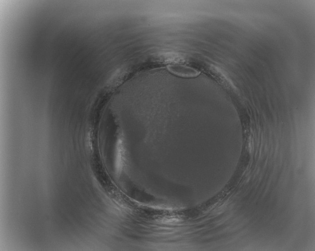 X0000071760643200607150003