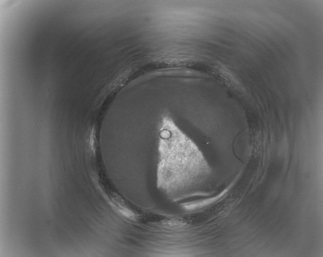 X0000071760644200607150003