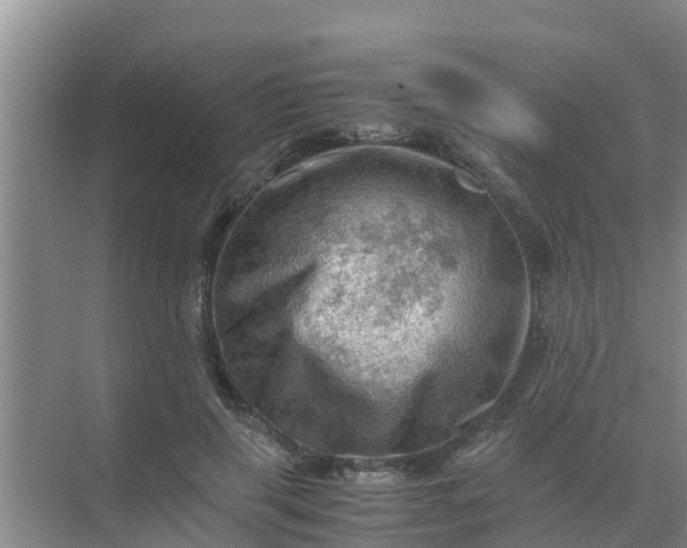 X0000071760645200607150003