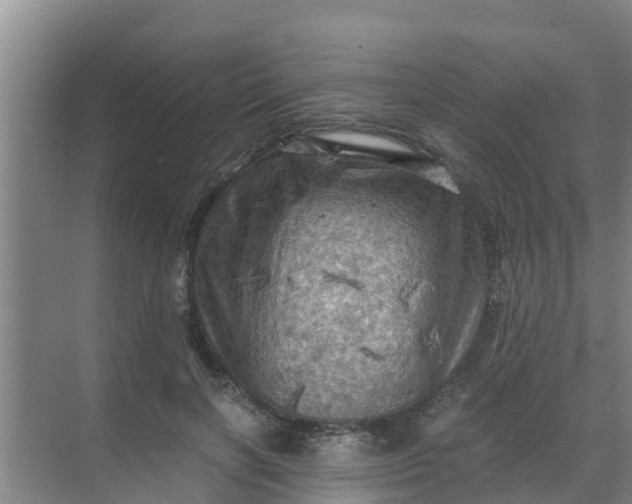 X0000071760646200607150003