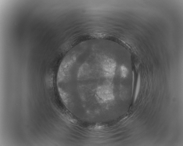 X0000071760647200607150003