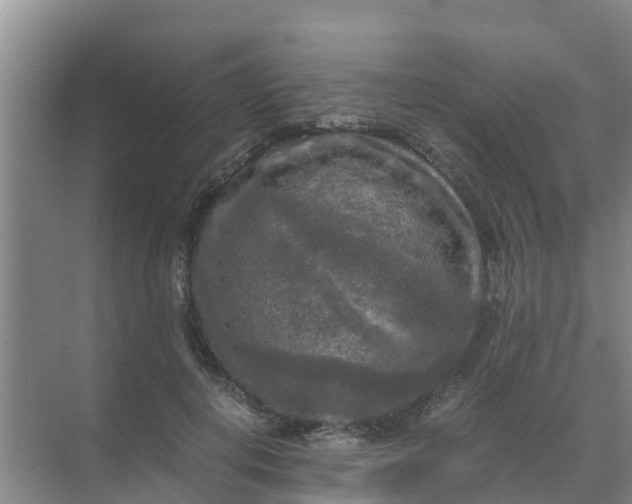 X0000071760648200607150003