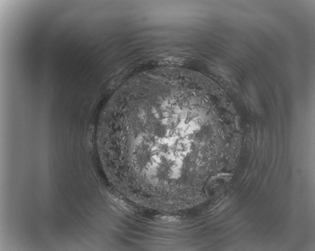 X0000071760649200607150003