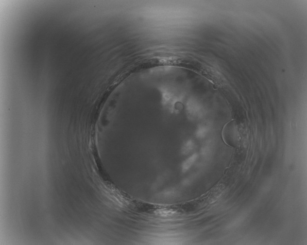 X0000071760650200607150003