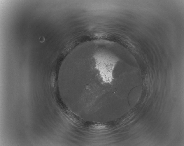 X0000071760651200607150003