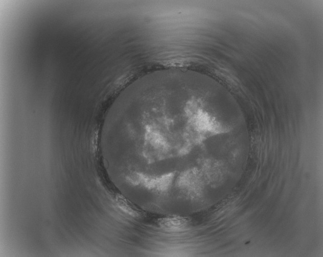 X0000071760652200607150003