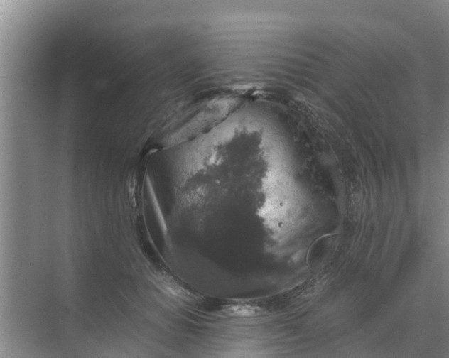 X0000071760654200607150003