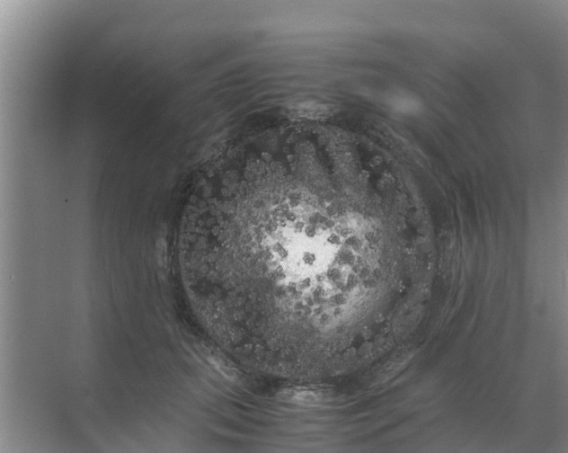 X0000071760655200607150003