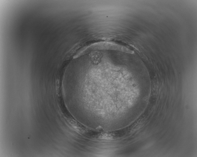 X0000071760656200607150003