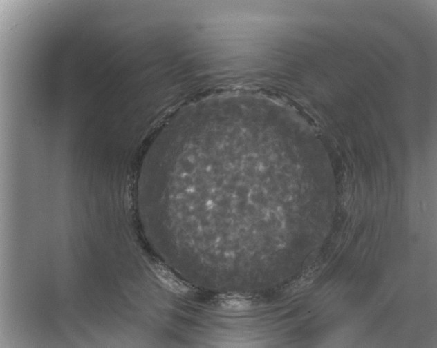 X0000071760658200607150004