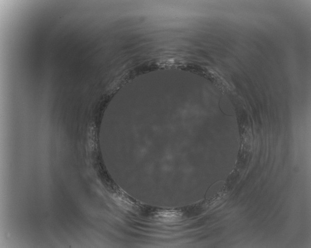 X0000071760659200607150004