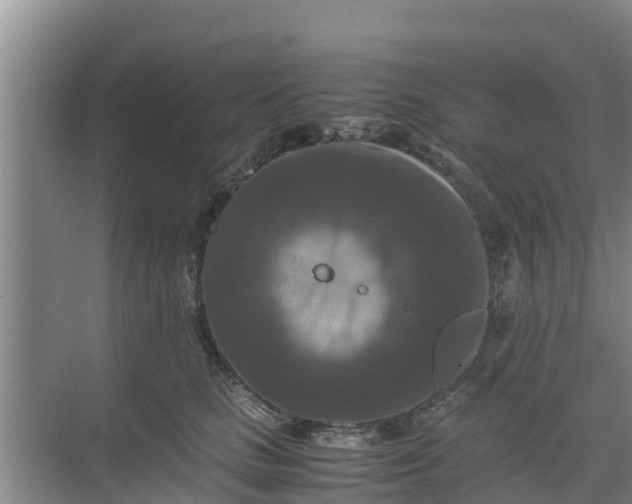 X0000071760661200607150004