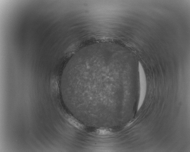 X0000071760662200607150004