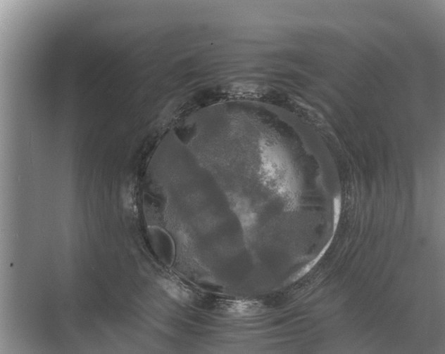 X0000071760663200607150004