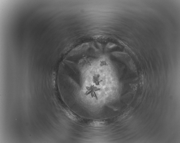 X0000071760664200607150004