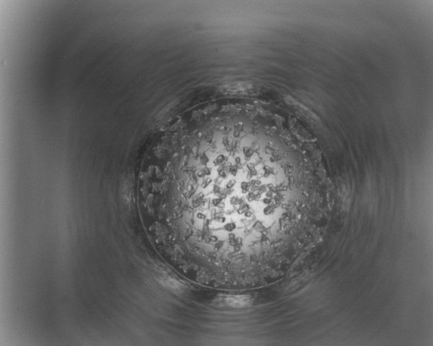 X0000071760665200607150004