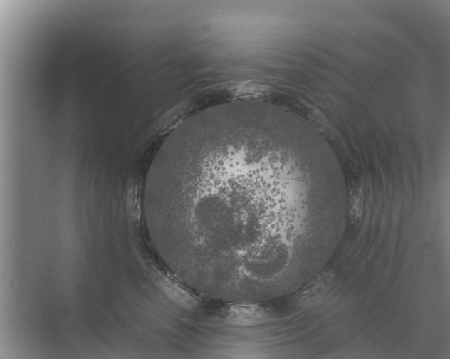 X0000071760666200607150004