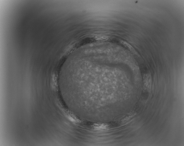 X0000071760667200607150004