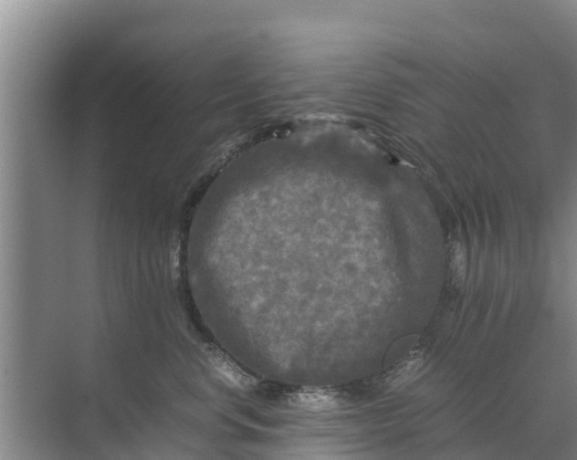 X0000071760668200607150004