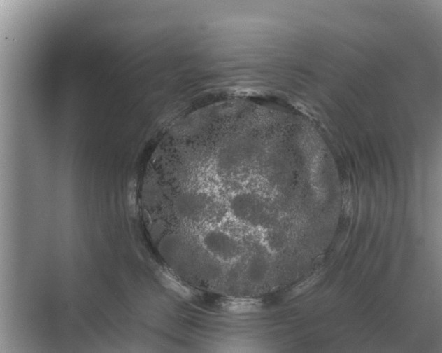 X0000071760670200607150004