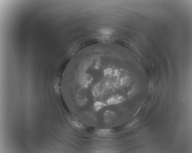 X0000071760671200607150004