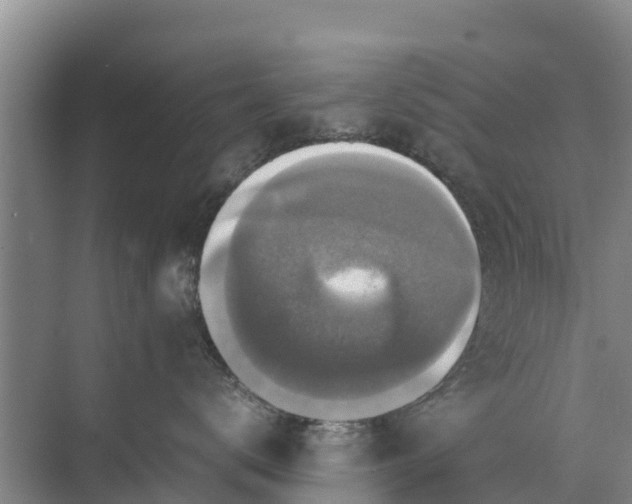 X0000071760672200607150004