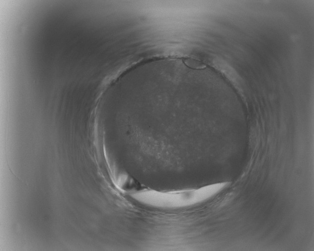 X0000071760673200607150003