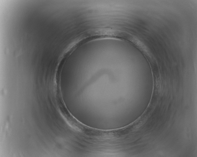 X0000071760674200607150003