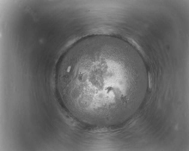 X0000071760675200607150003