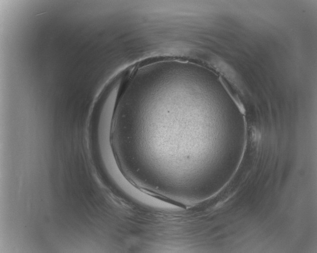 X0000071760676200607150003