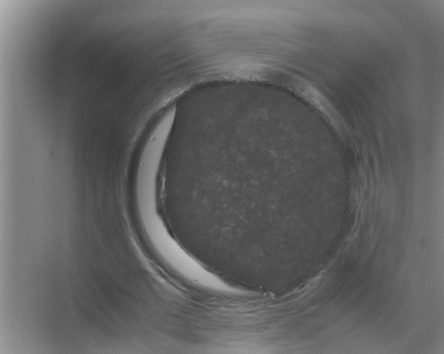 X0000071760677200607150003