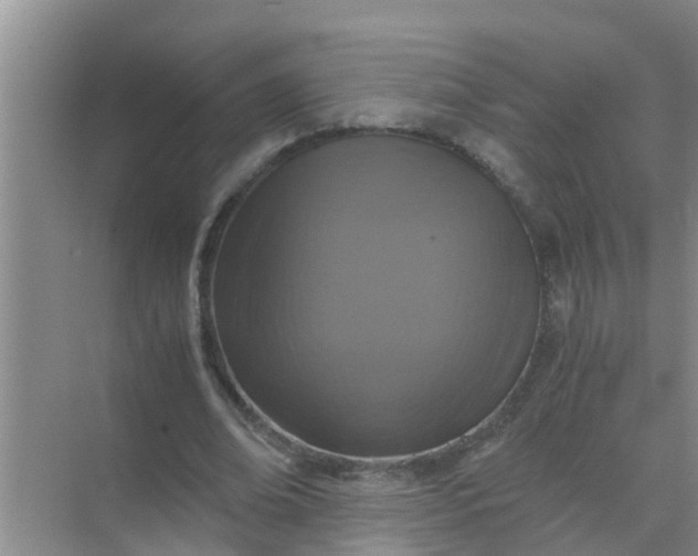 X0000071760678200607150003