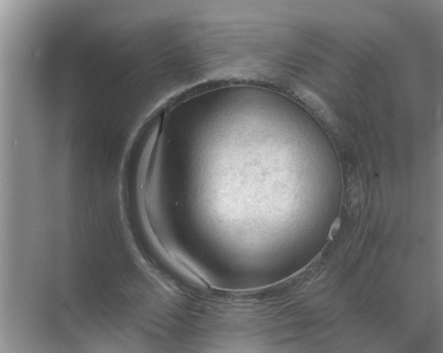 X0000071760680200607150003