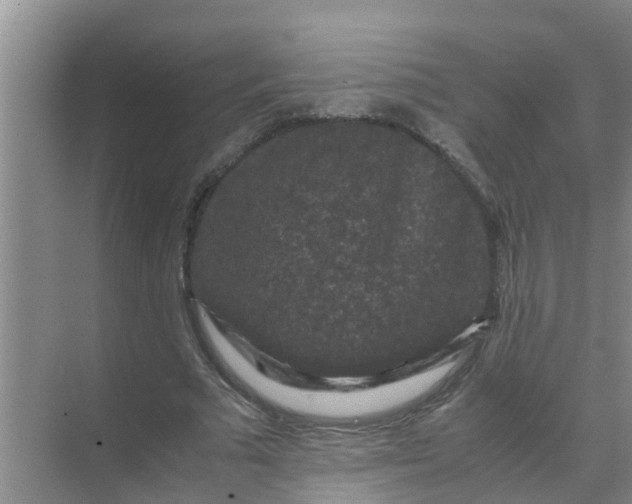 X0000071760681200607150003