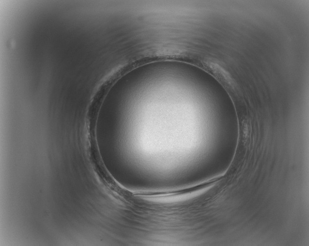 X0000071760684200607150003