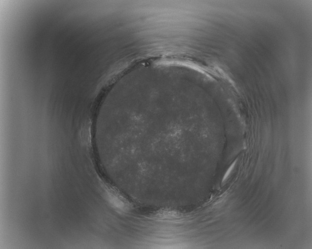 X0000071760685200607150003